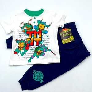 Teenage Mutant Ninja Turtles TMNT Shirt and Joggers Outfit Sweatsuit Sweat Pants